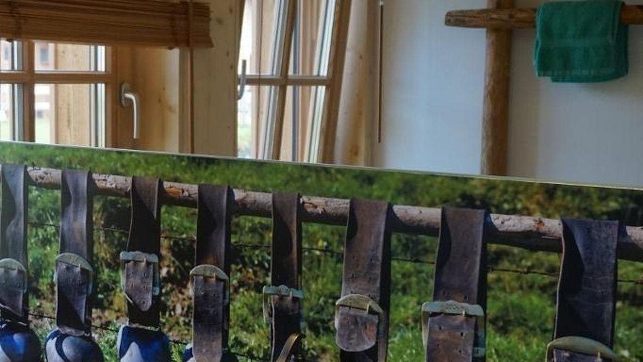 Im Badezimmer fühlen Sie sich fast wie auf der Alm Im Badezimmer fühlen Sie sich fast wie auf der Alm